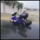 ��� �������